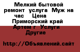 Мелкий бытовой ремонт, услуга “Муж на час“ › Цена ­ 100 - Приморский край, Артем г. Услуги » Другие   